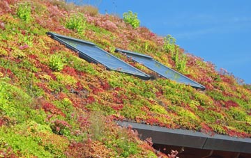 Hollybush Corner living roof systems