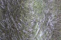 Hollybush Corner fibreglass roof work